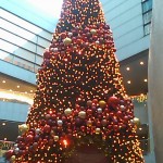 101123_1622~01.jpg